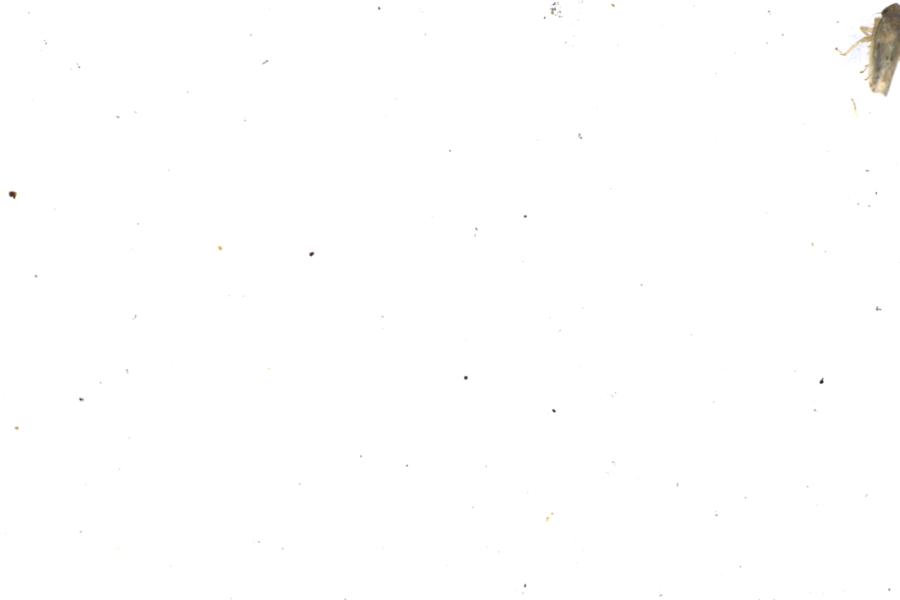 Image 61